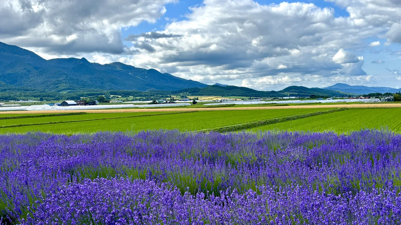 北海道