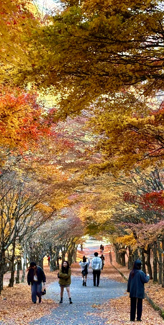 日本 · Tokyo