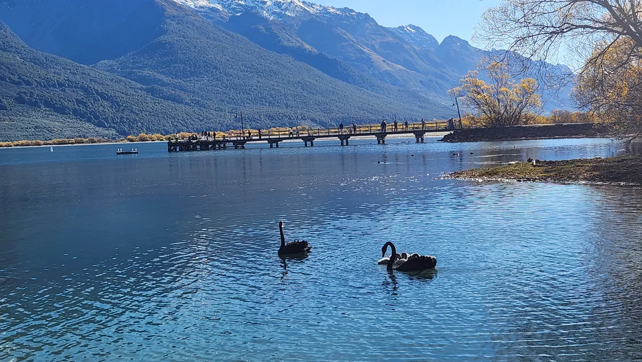 Glenorchy and Helicopter