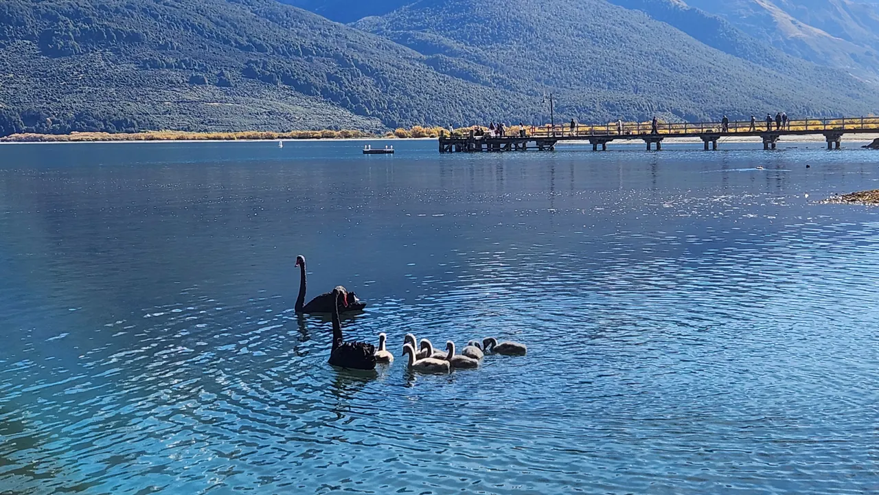 Glenorchy 格林諾奇
