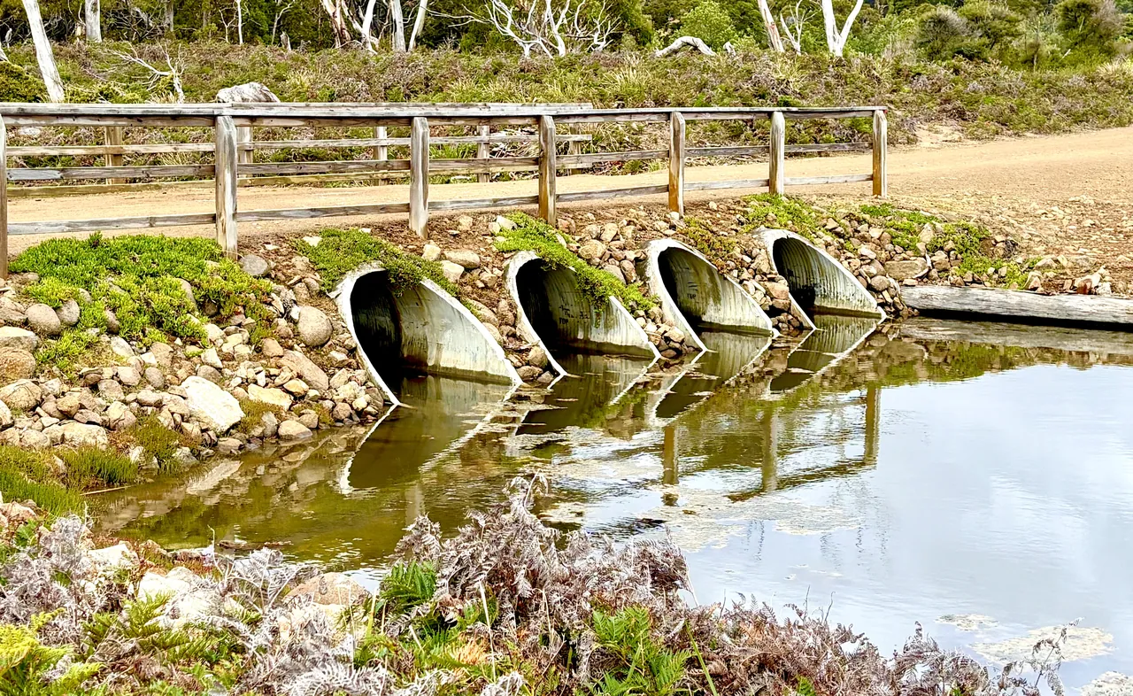Tasmania的相片