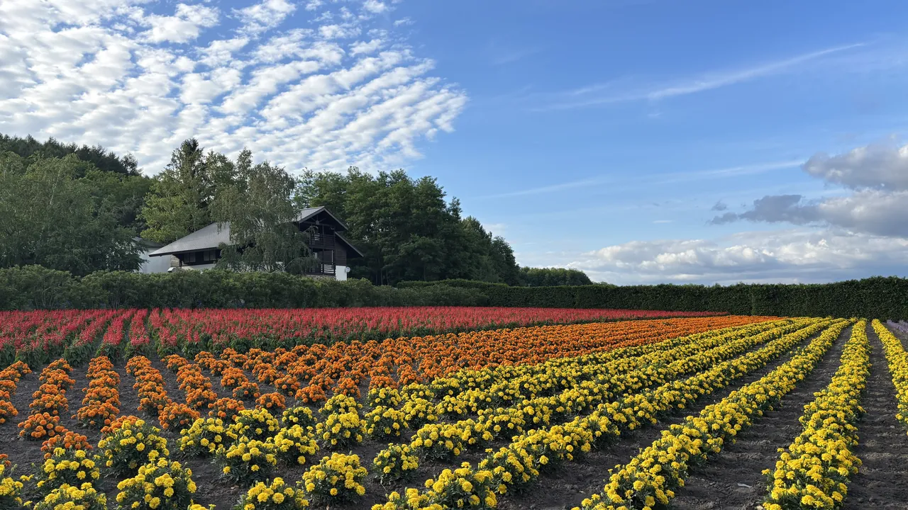 北海道