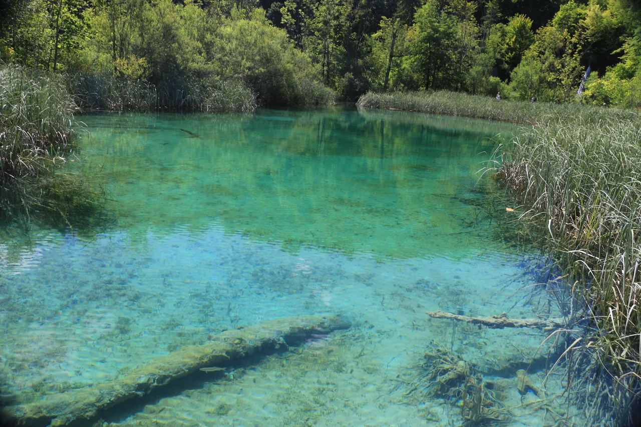普里特維采湖群國家公園 (Plitvice Lakes National Park)