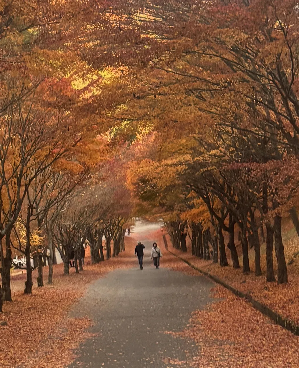 Tokyo的相片